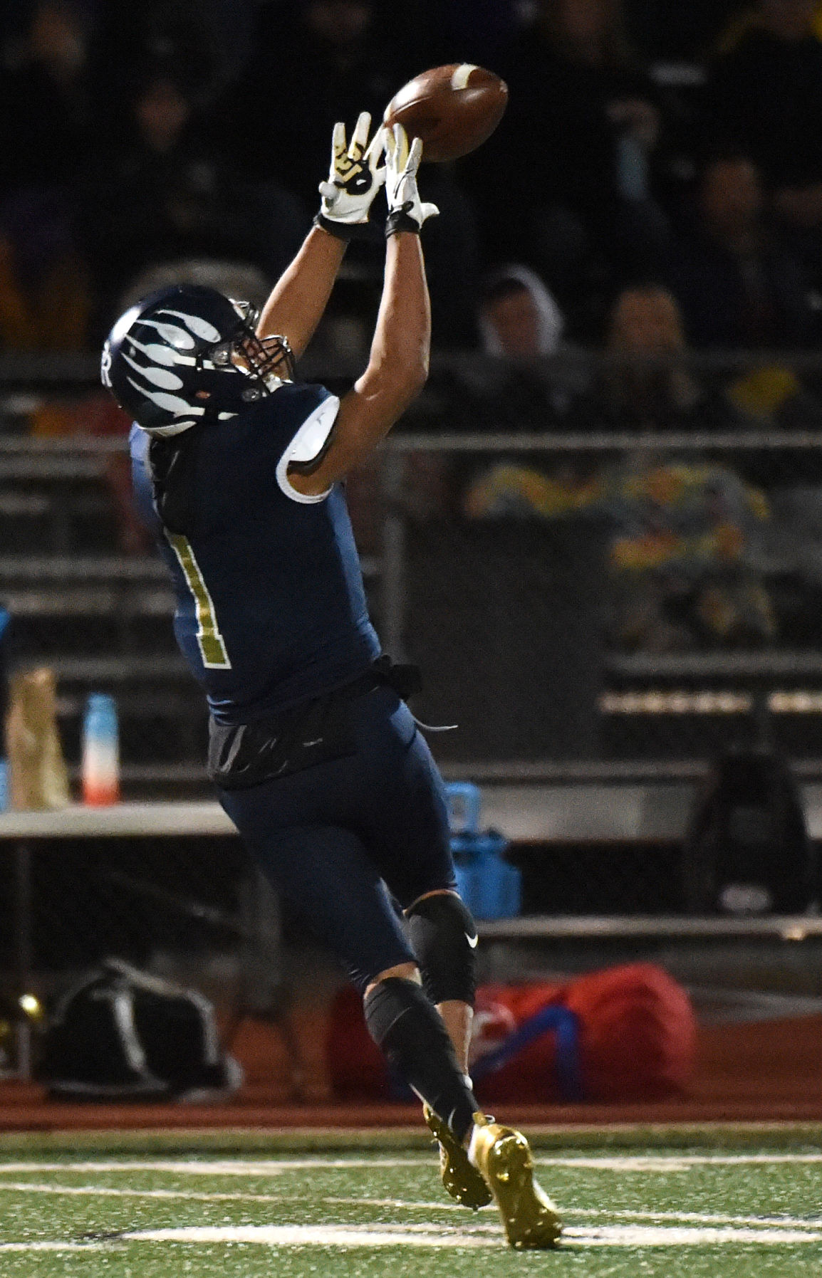 PHOTOS: Palmer Ridge Bears (63) Holy Family Tigers (7)